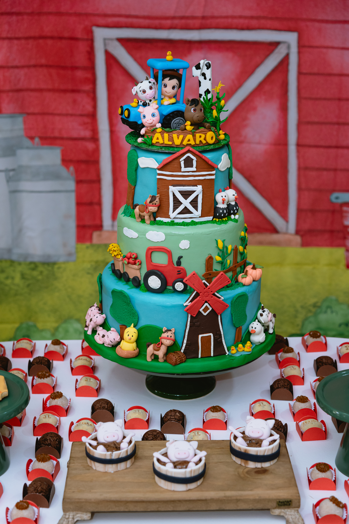 fotos de festa infantil - decoração fazendinha