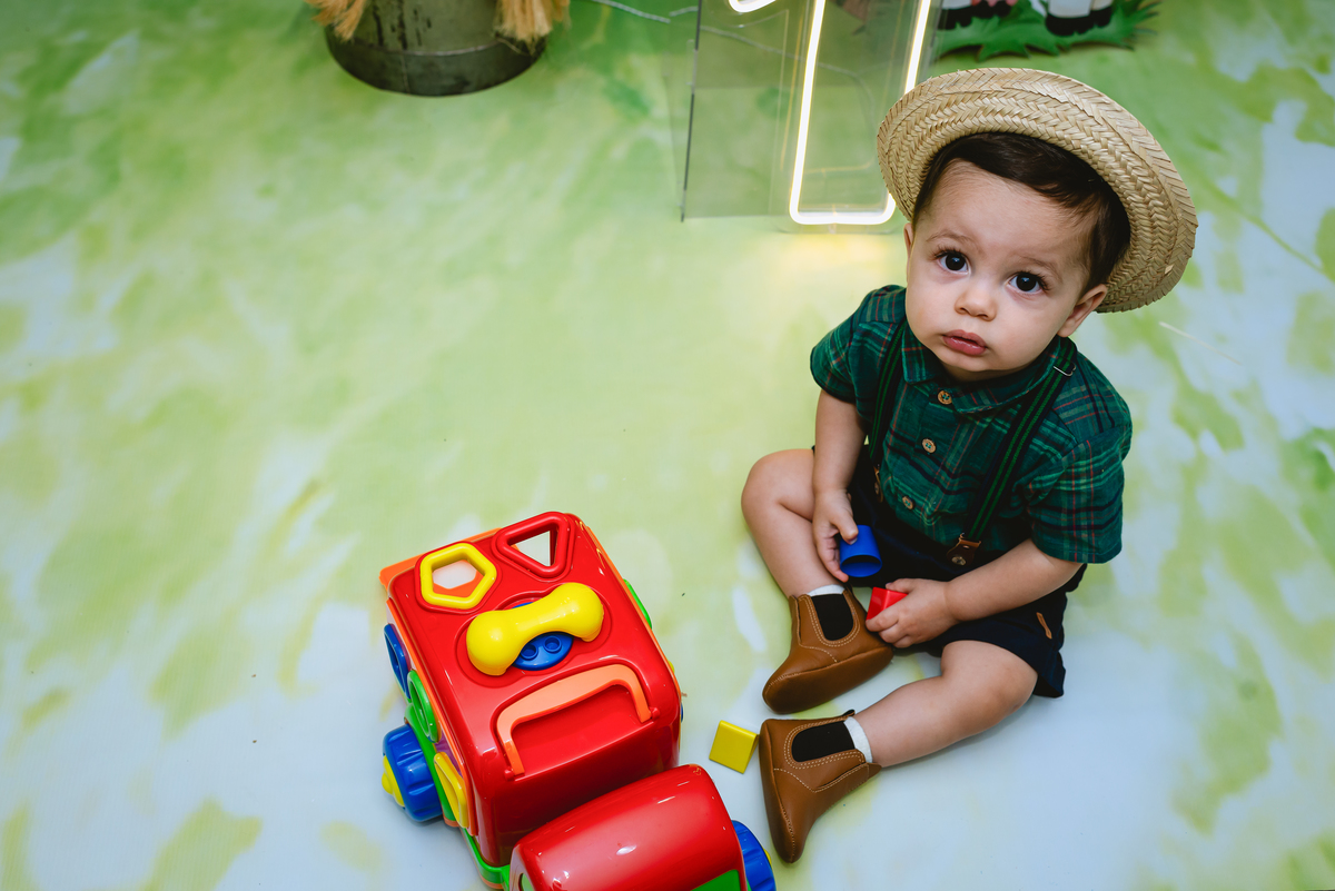 fotos de festa infantil - menino de fazendeiro