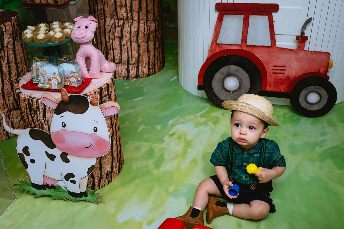 fotos de festa infantil - menino de fazendeiro