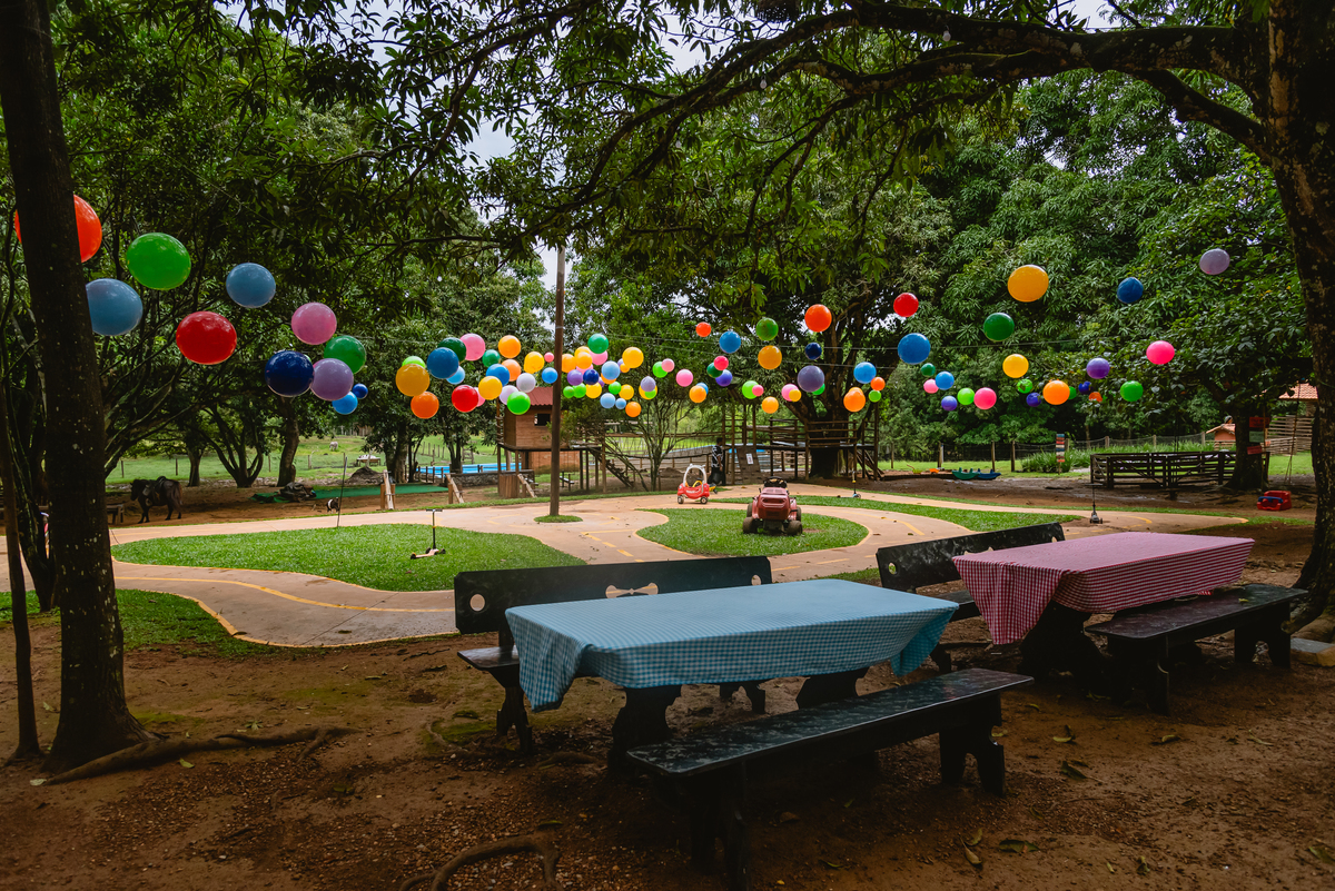 fotos de festa infantil - decoração fazendinha - fazendinha azul