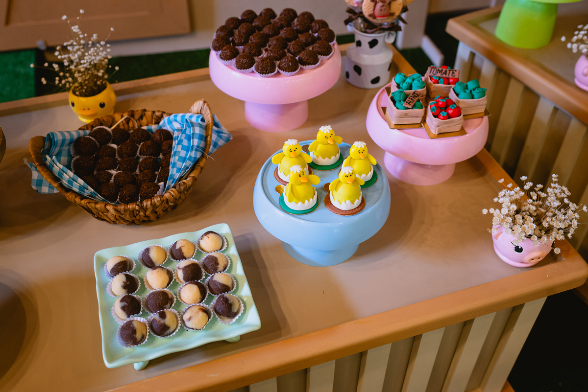 fotos de festa infantil - decoração fazendinha - fazendinha azul