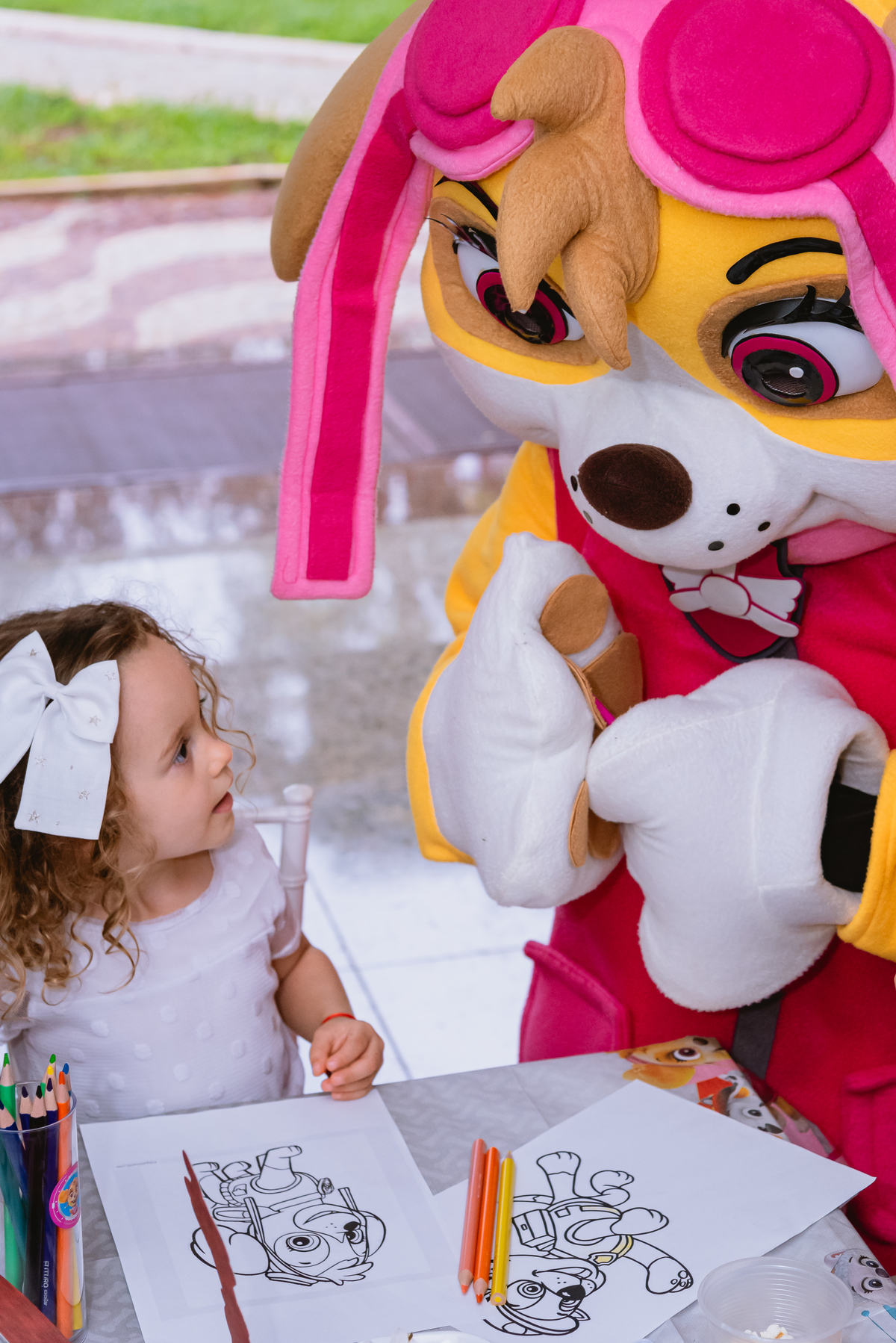 fotos de festa infantil - criança brincando com bonecos da patrulha canina