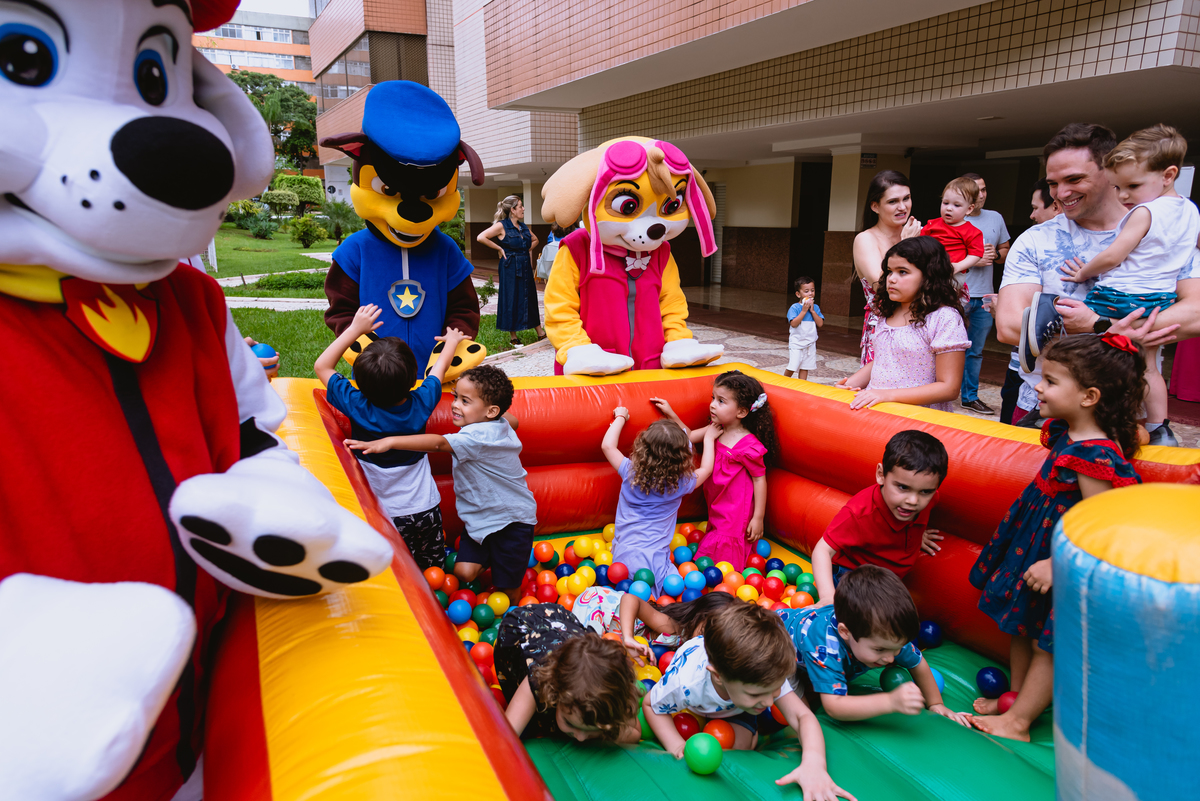 fotos de festa infantil - criança brincando com bonecos da patrulha canina