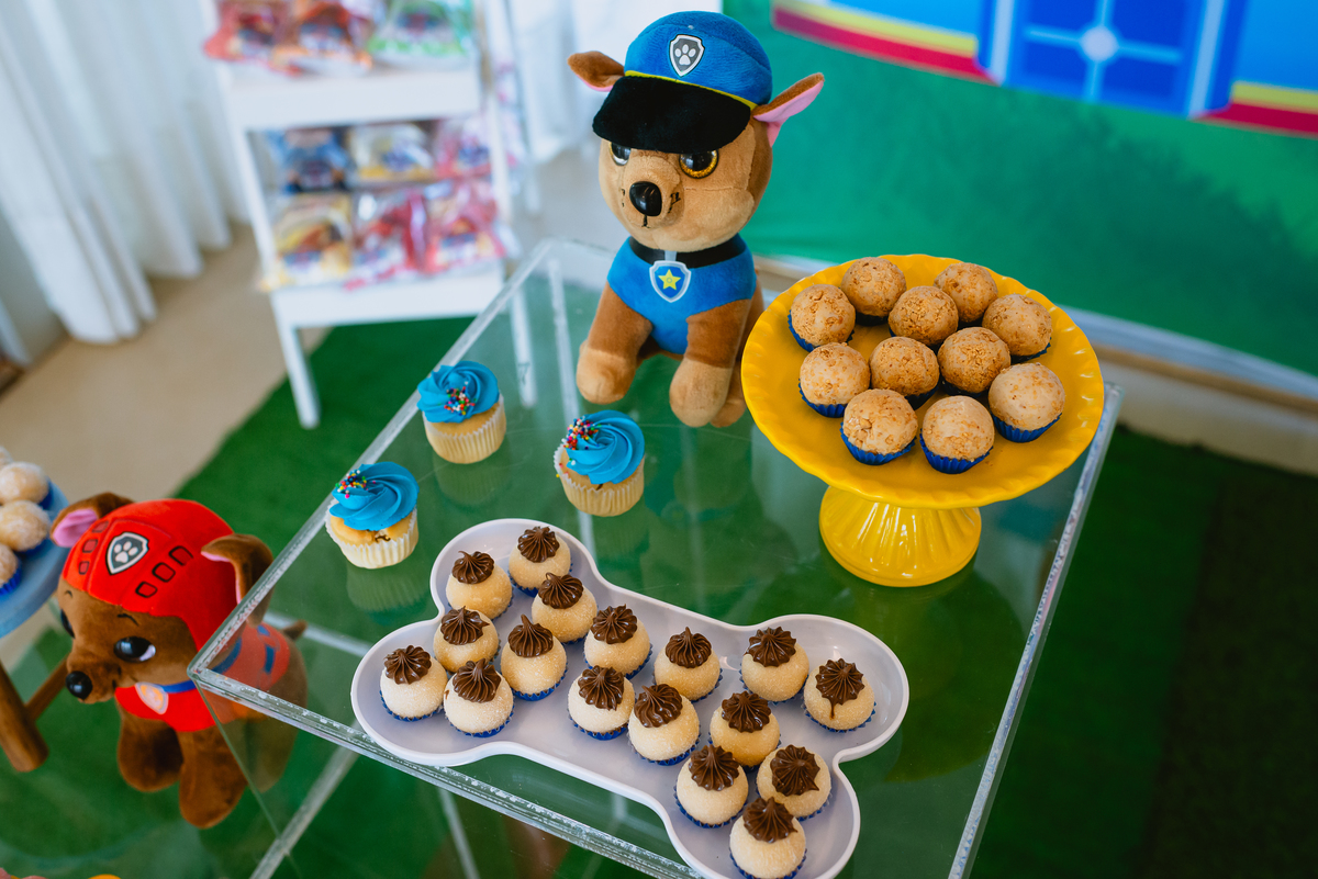 foto de festa de crianças - fotógrafo infantil - decoração patrulha canina
