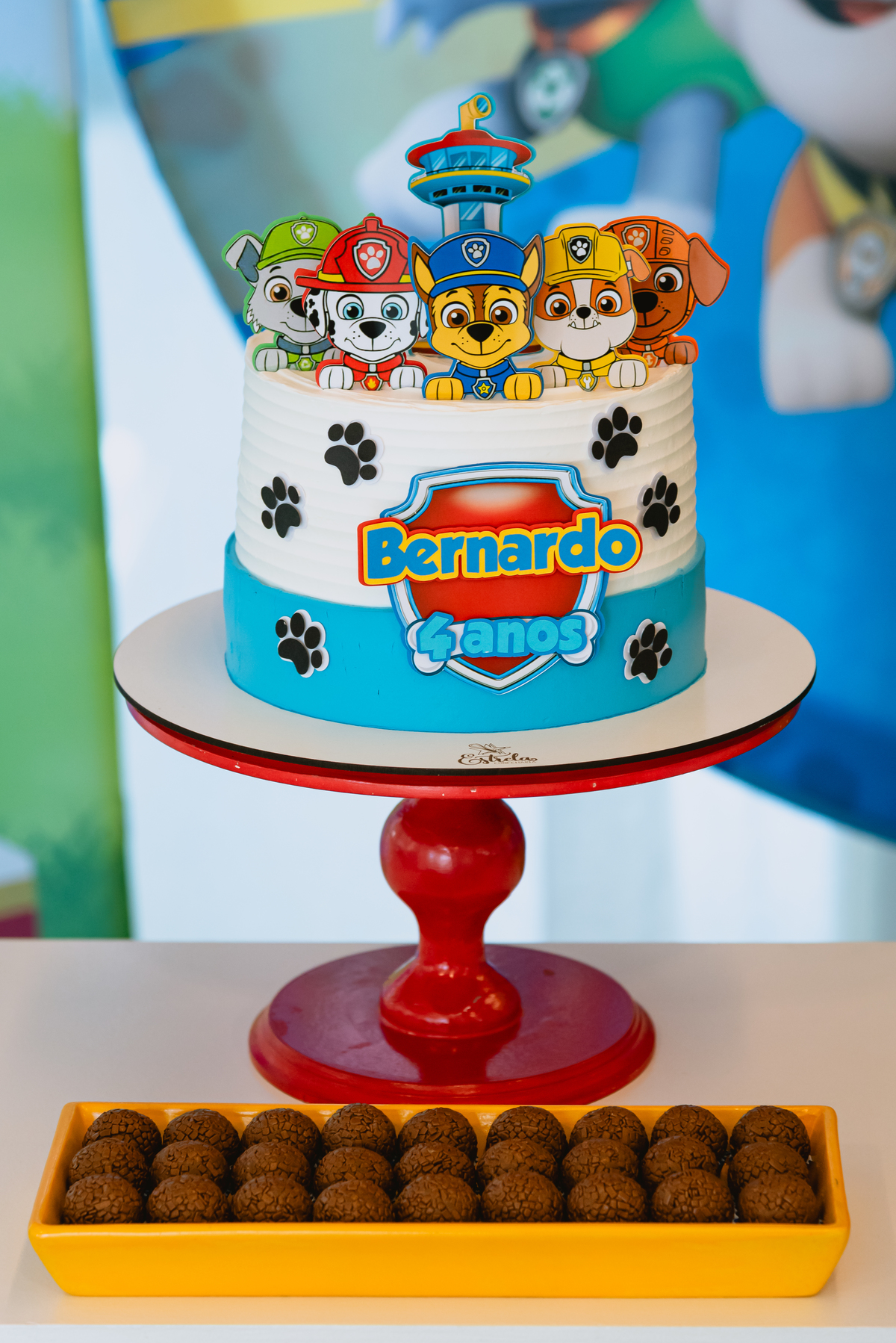 foto de festa de crianças - fotógrafo infantil - decoração patrulha canina