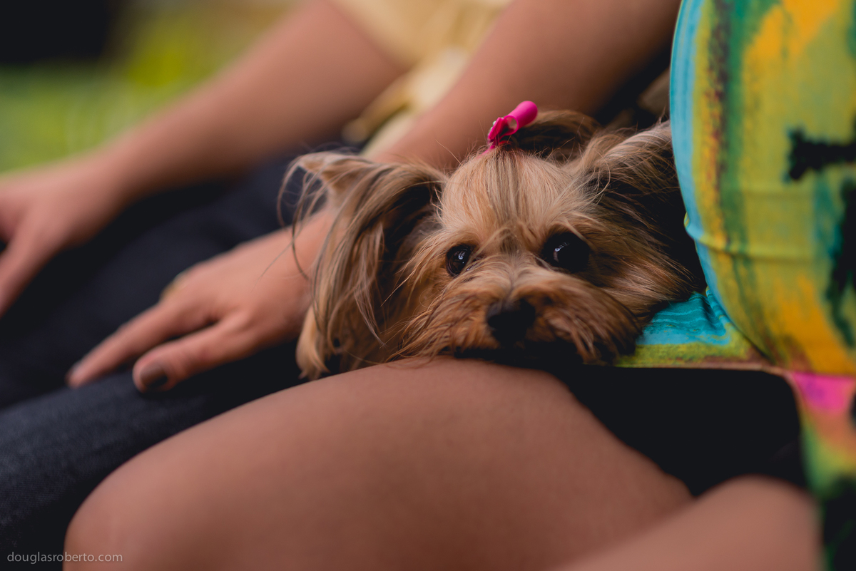 ensaio-de-gestante-fotos-de-gravida-brasilia-douglas-mendes-roberto-fotografo-de-familia-gestante-douglas-roberto-fotografia-fotos-de-familia-familia-crianca