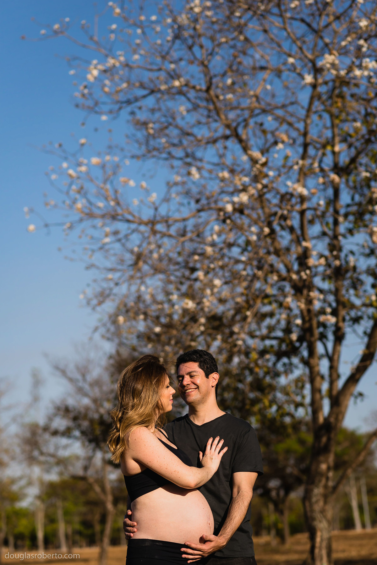 foto de gestante em ipê