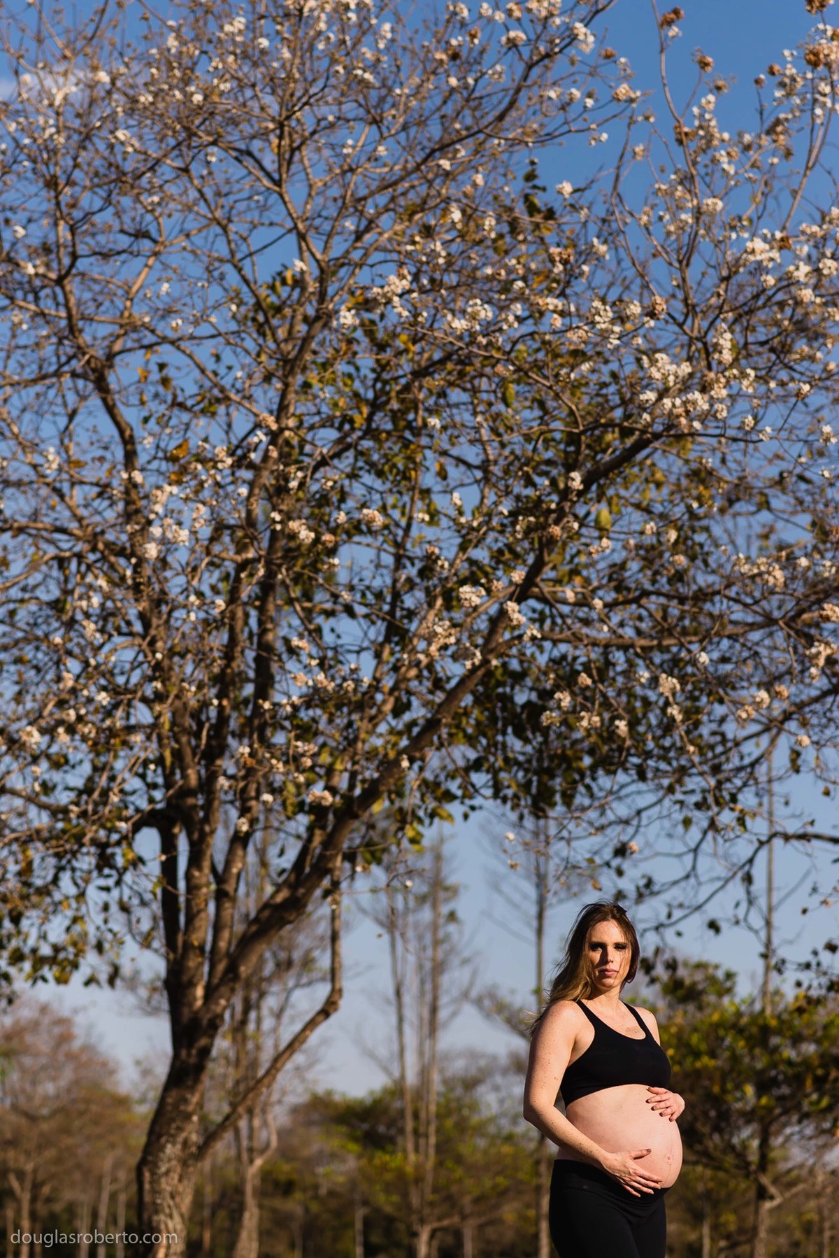 foto de gestante em ipê
