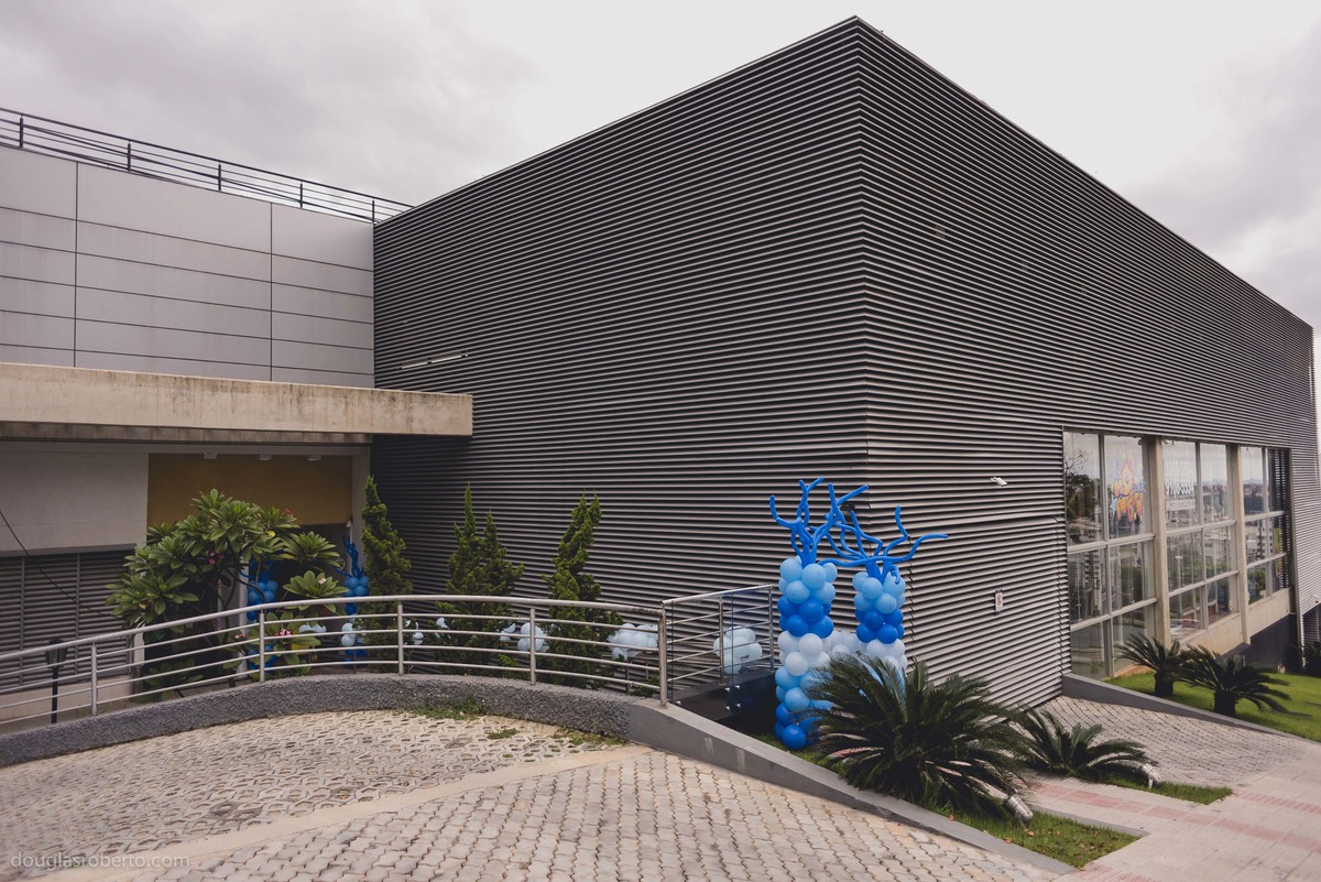 Festa de 3 anos do Miguel que aconteceu em Belo Horizonte | Douglas Roberto Fotografia | Belo Horizonte 2016