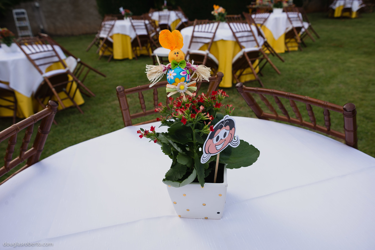 decoração de festa infantil em brasília 