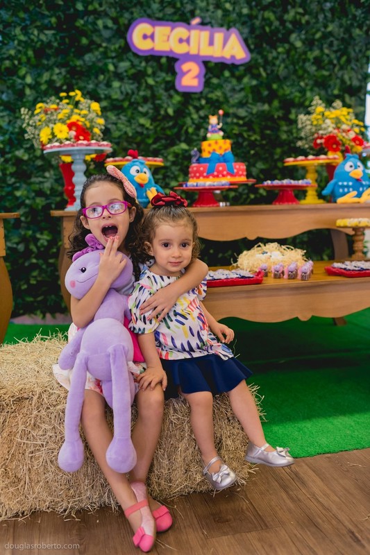 Festa infantil 2 anos da Cecília, realizado em Brasilia-DF, abril de 2016. Tema da festa, Galinha Pintadinha.