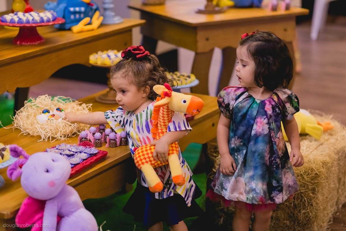 Festa infantil 2 anos da Cecília, realizado em Brasilia-DF, abril de 2016. Tema da festa, Galinha Pintadinha.