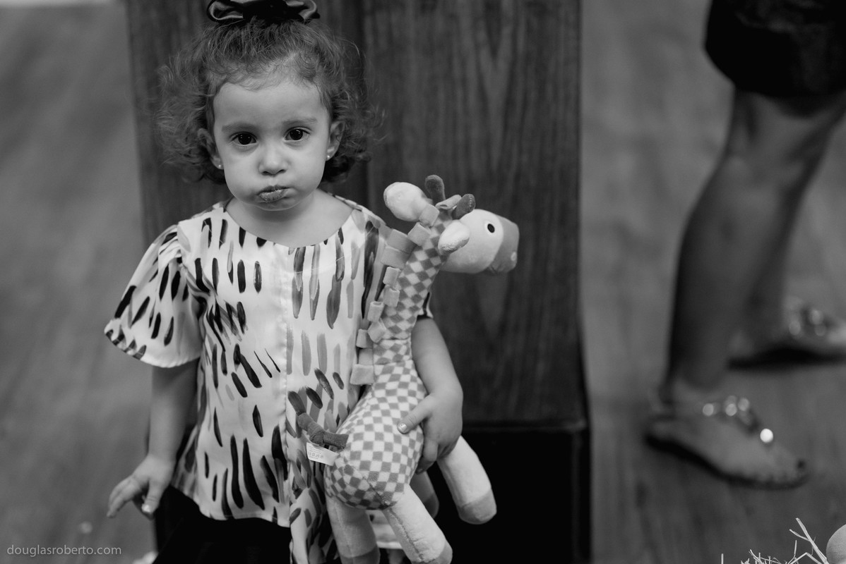 Festa infantil 2 anos da Cecília, realizado em Brasilia-DF, abril de 2016. Tema da festa, Galinha Pintadinha.