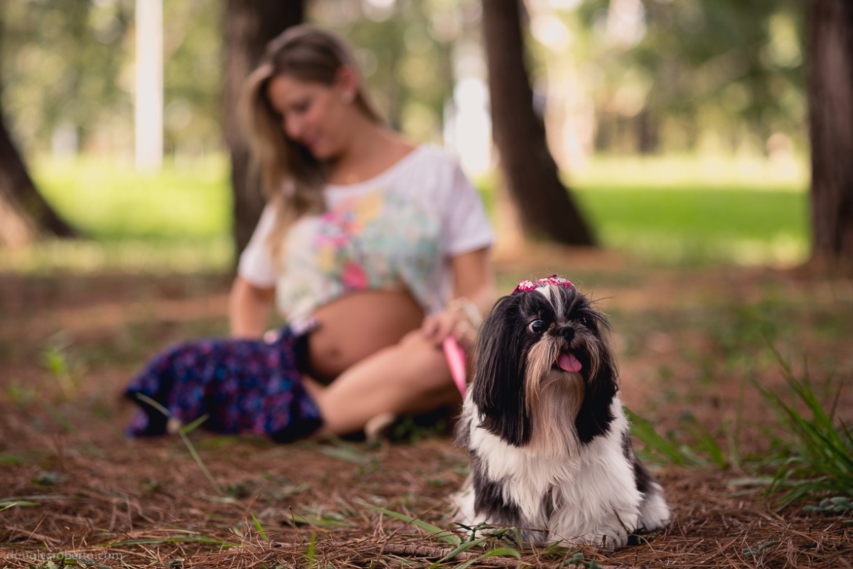 Ensaio de gestante, fotos de gravida, fotografo para gestante, fotografo de Brasília, douglas mendes roberto, fotografo de família, gestante, douglas roberto fotografia, fotos de família, família, criança, primeiro filho