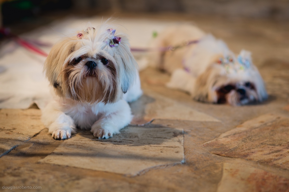 villa triacca eco pousada, fotografo de festa infantil, fotografo de criança, fotografo infantil, douglas mendes roberto, fotografo de família , douglas roberto fotografia, fotos de família, família, criança, Bras&iacute