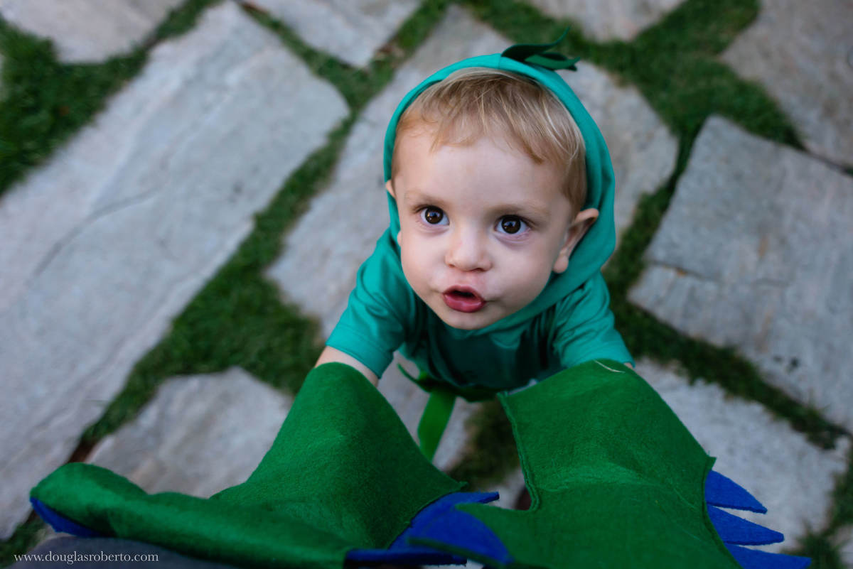 menino brincando de dinossauro