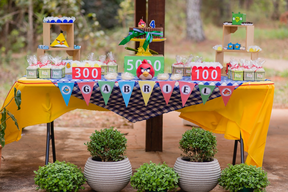 fotografo de festa infantil, fotografo de criança, fotos espontaneas, fotografo infantil, fotos divertidas, douglas mendes roberto, fotografo de família , douglas roberto fotografia, fotos de família, família, criança, B