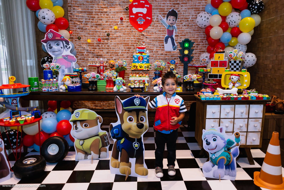 decoração de patrulha canina