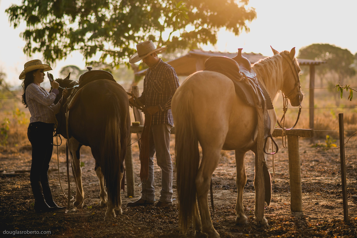 cavalos no ensaio casal