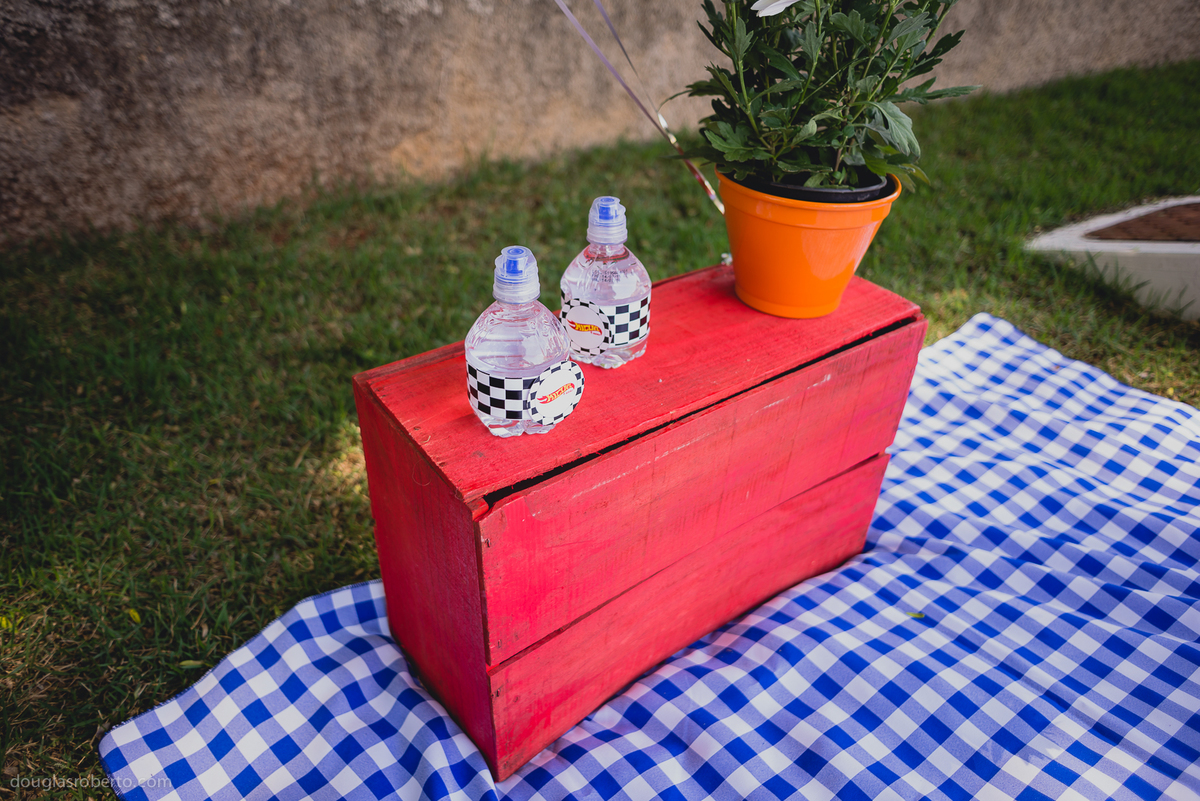 fotografo de festa infantil, fotografo de criança, fotos espontaneas, fotografia divertida, fotografia diferente, fotografo infantil, fotos divertidas, douglas mendes roberto, fotografo de família , douglas roberto fotografia, fotos de fam&i