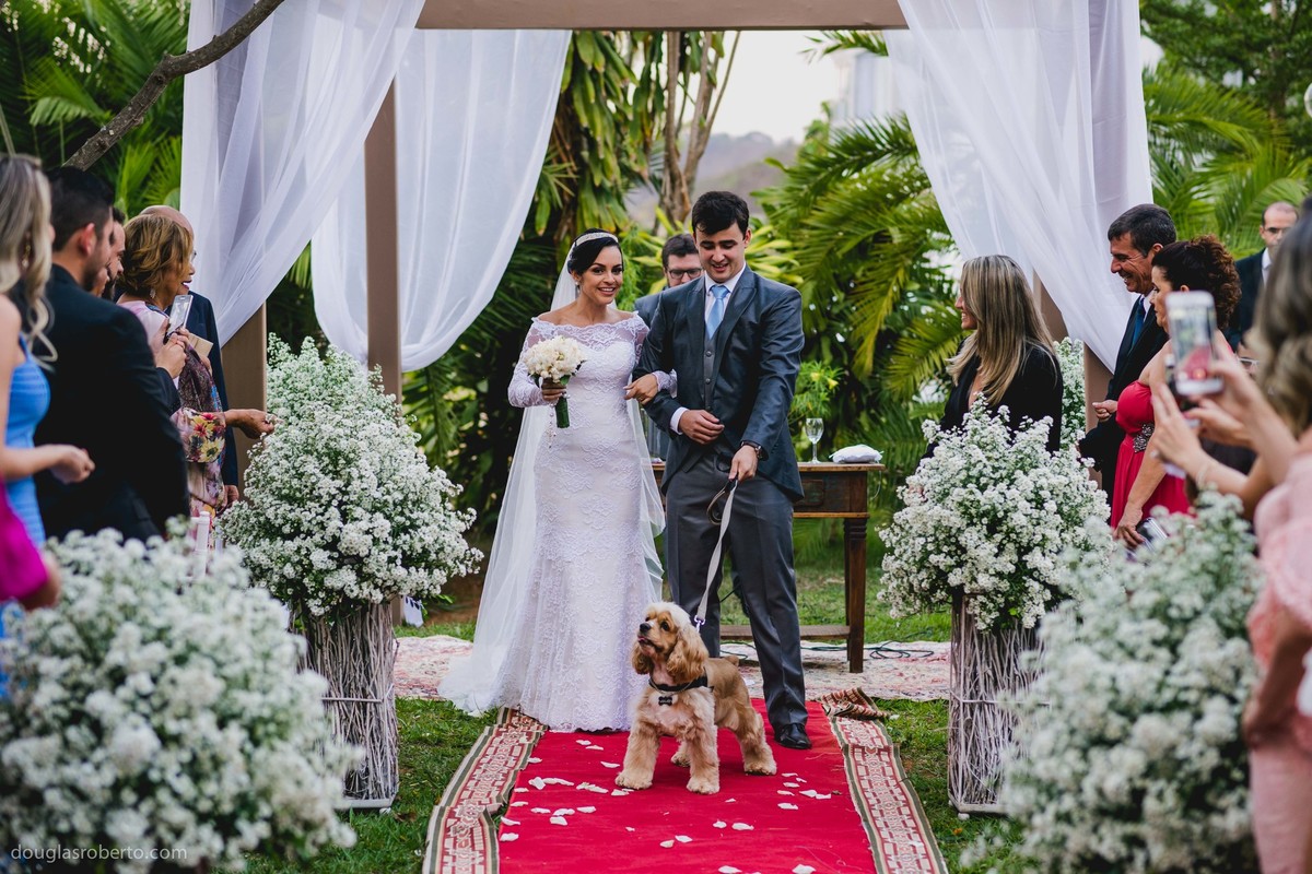 noivos e o cachorro de estimação