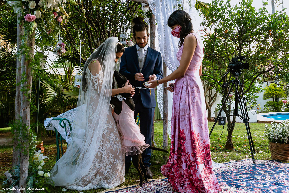 cachorro trazendo a aliança