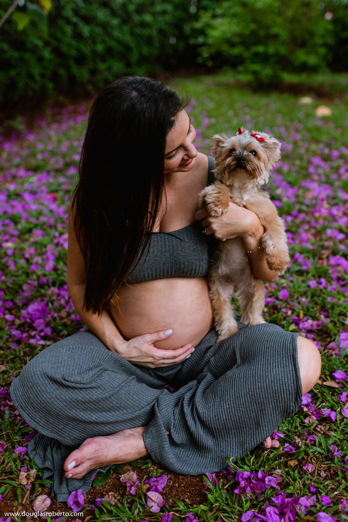 bichinho de estimação no ensaio