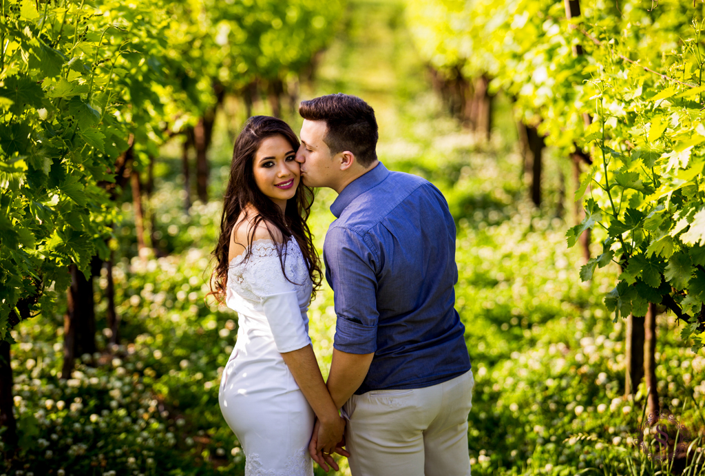 beijo de noivos na parreira de uva