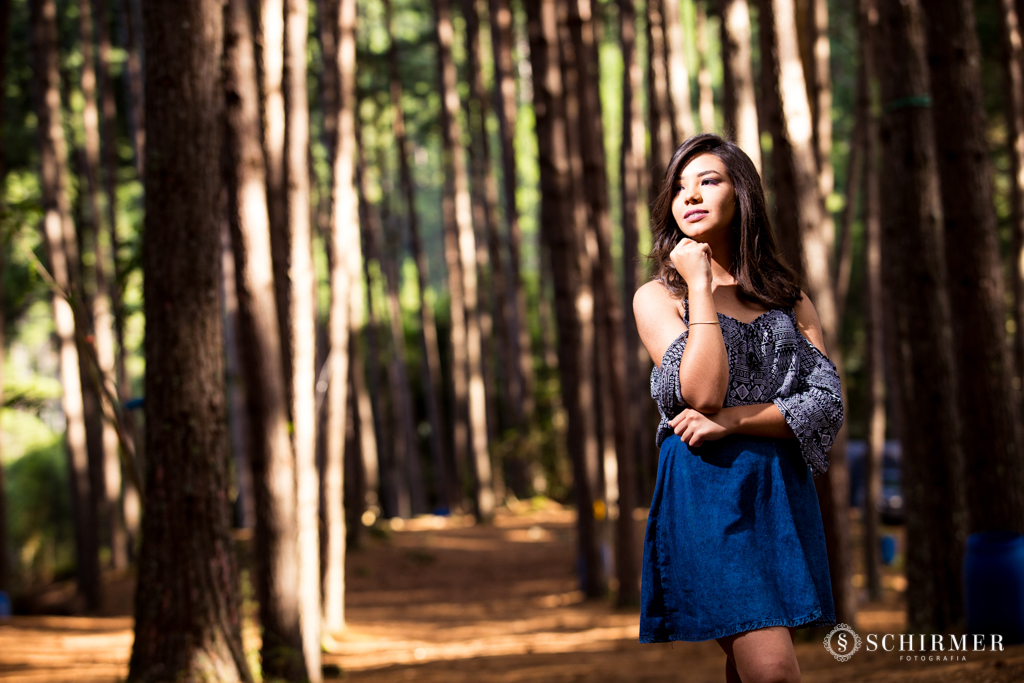 Ensaio feminino ao ar livre canela gramado book 15 anos verde campo serra