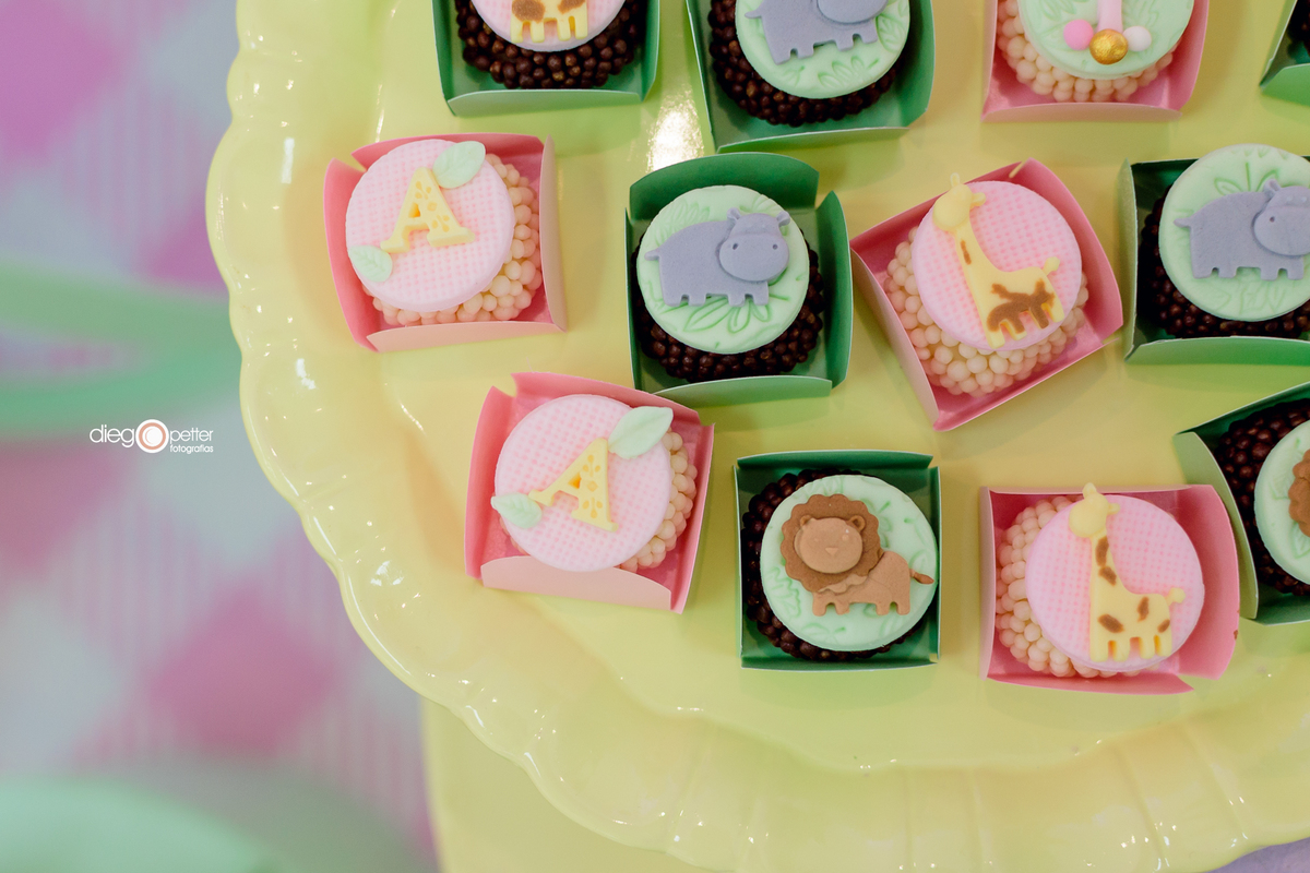 Franciele Debona docurinhasdafran aniversário 1 ano