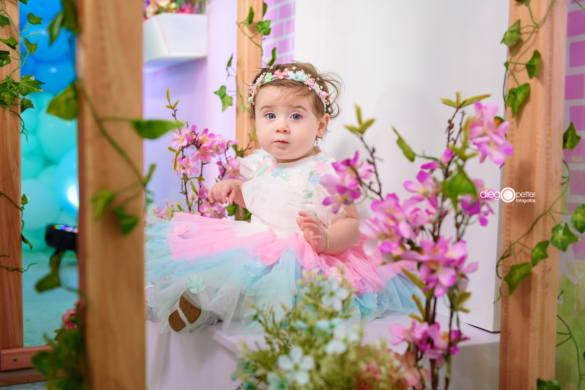 Rafaela 1 aninho aniversário infantil viale soledade