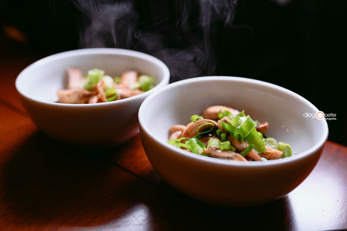 formatura catharina arossi patussi confraternização particular anta gorda comida vegetariana