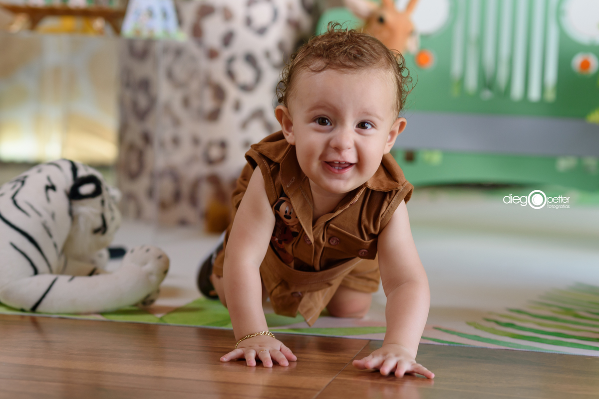 luis augusto 1º aninho aniversário infantil tema safari
