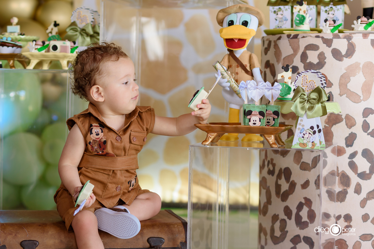 luis augusto 1º aninho aniversário infantil tema safari