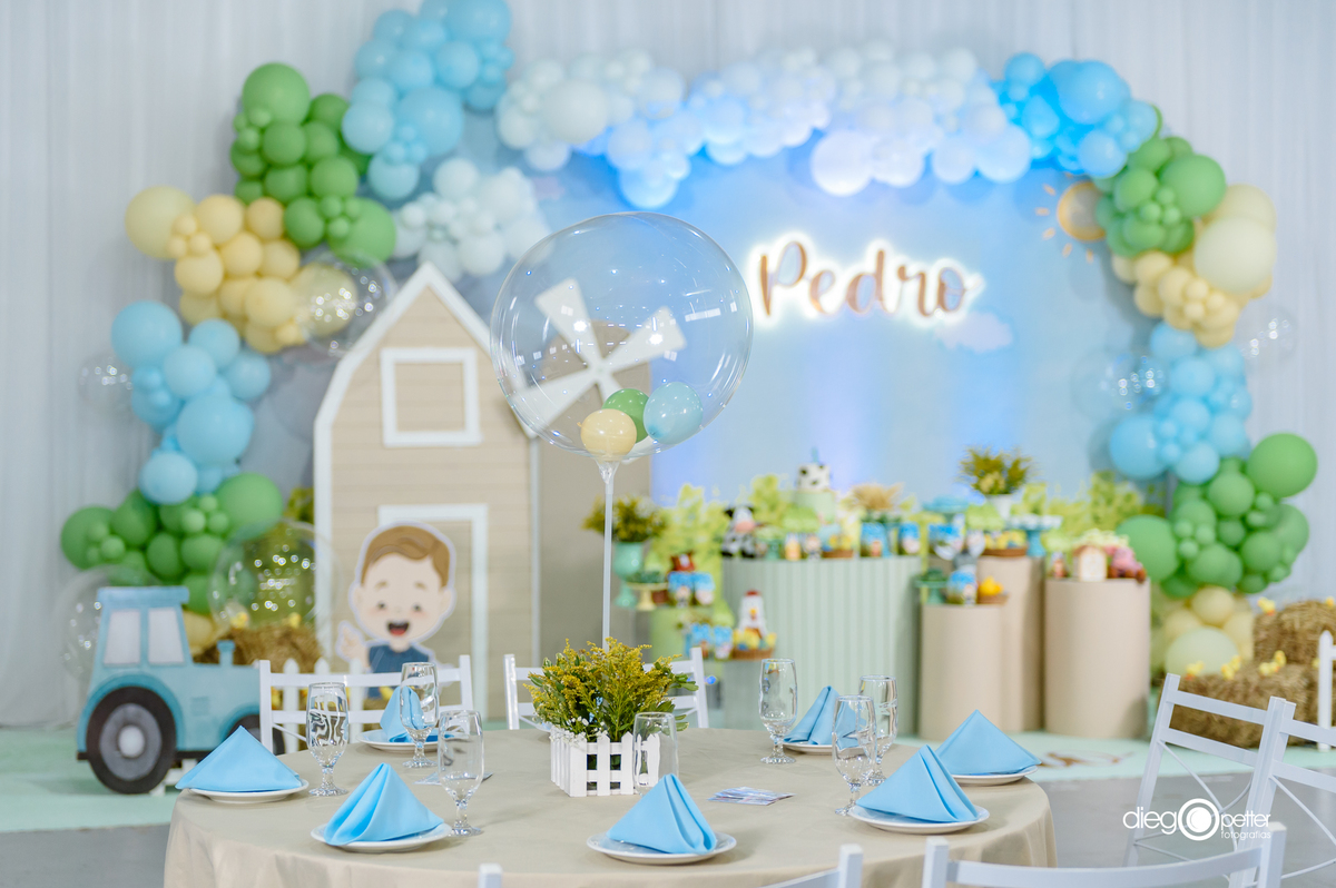 aniversário infantil decoração fazendinha