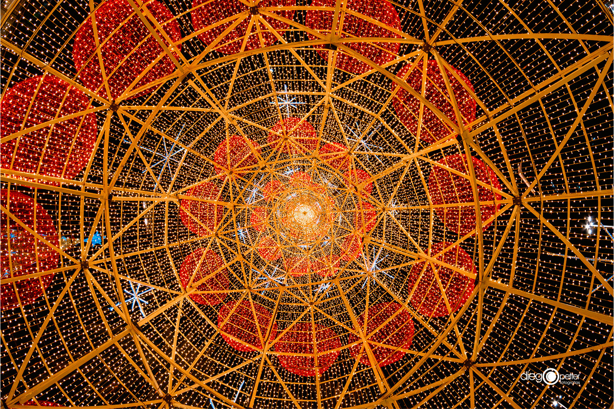 Árvore Natal externa vista por dentro Natal BarraShoppingSul 2024