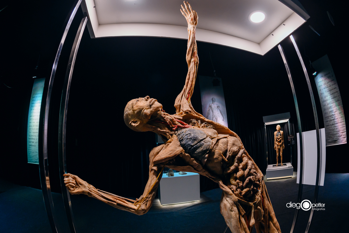 exposição human bodies no barrashoppingsul