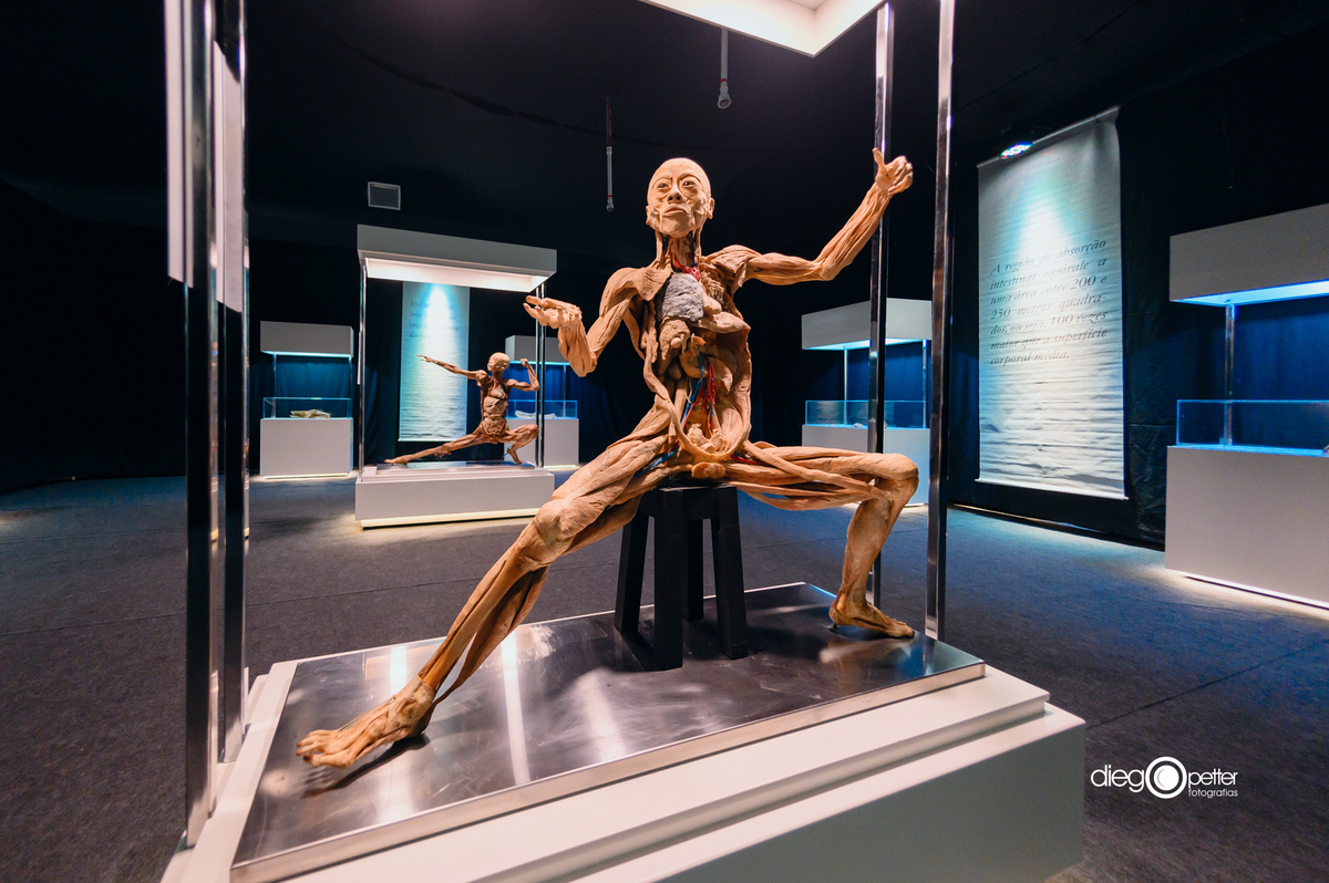 corpo 100% real em exposição