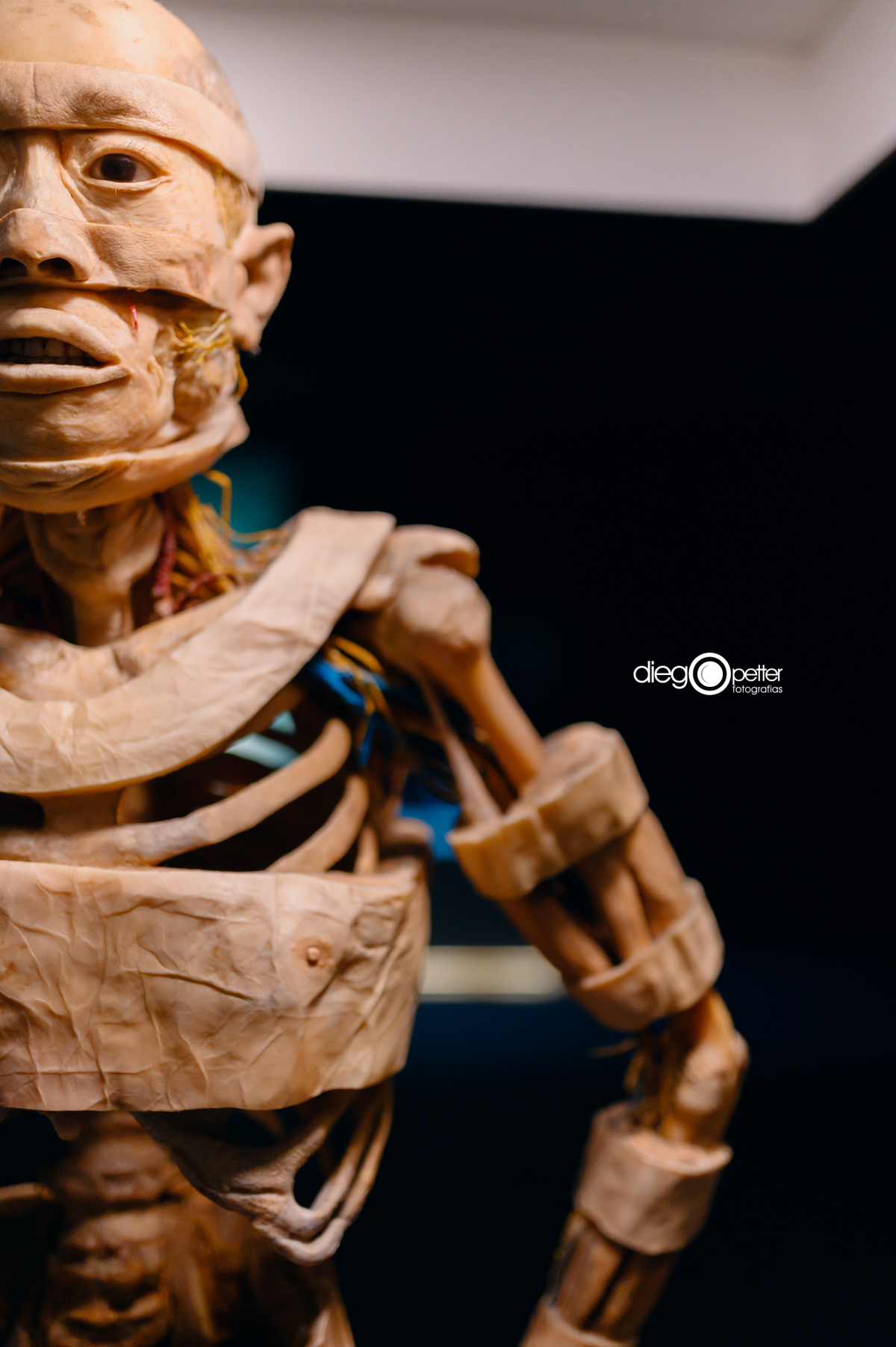 detalhe corpo humano real