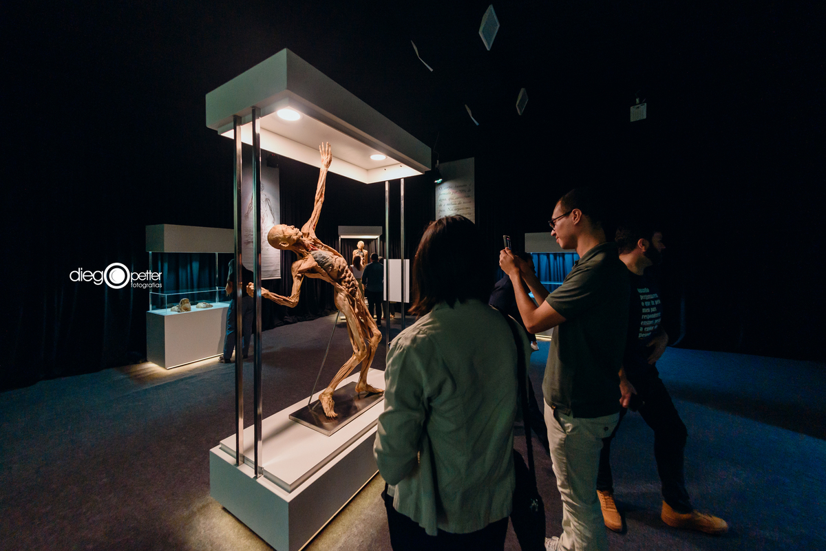 público na exposição do barrashoppingsul