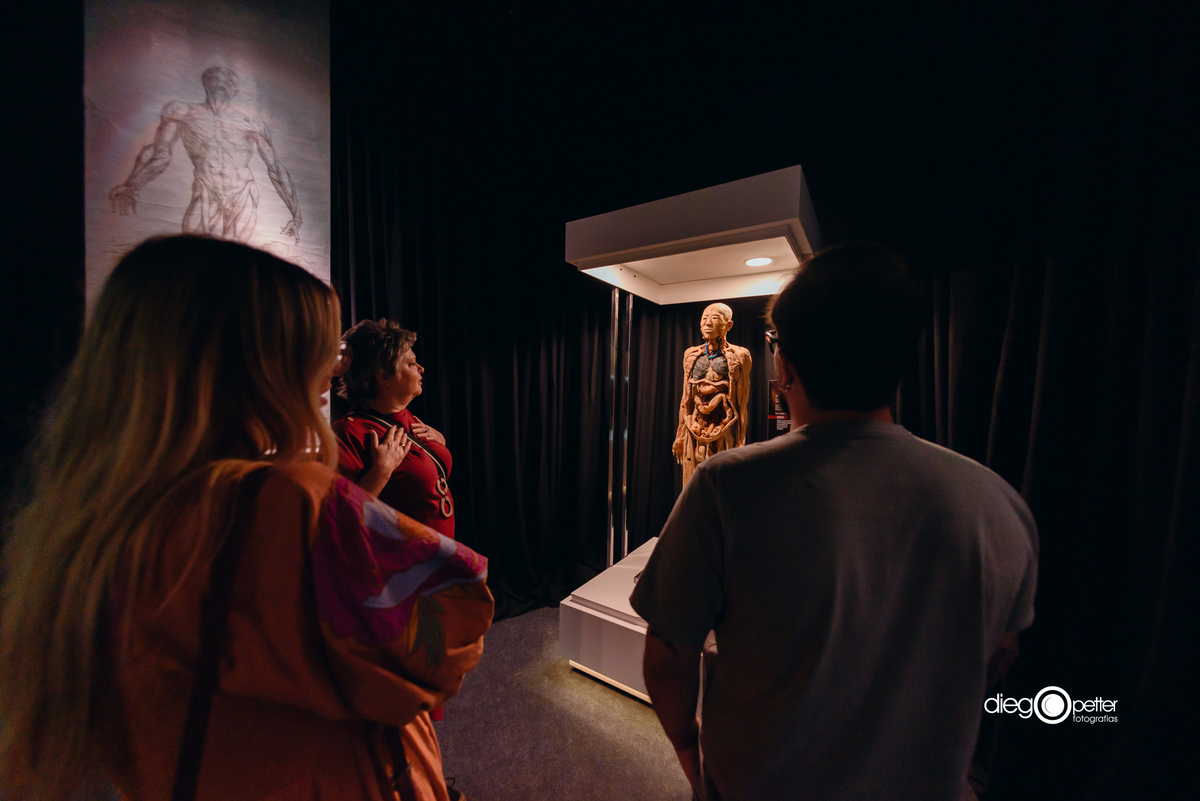 público na exposição human bodies no barrashoppingsul