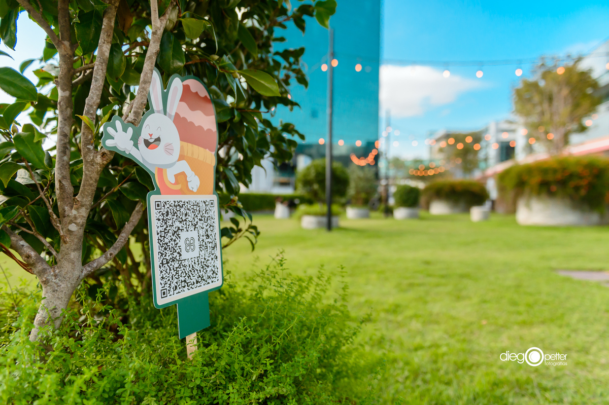 caça aos ovos jardim baixo barra