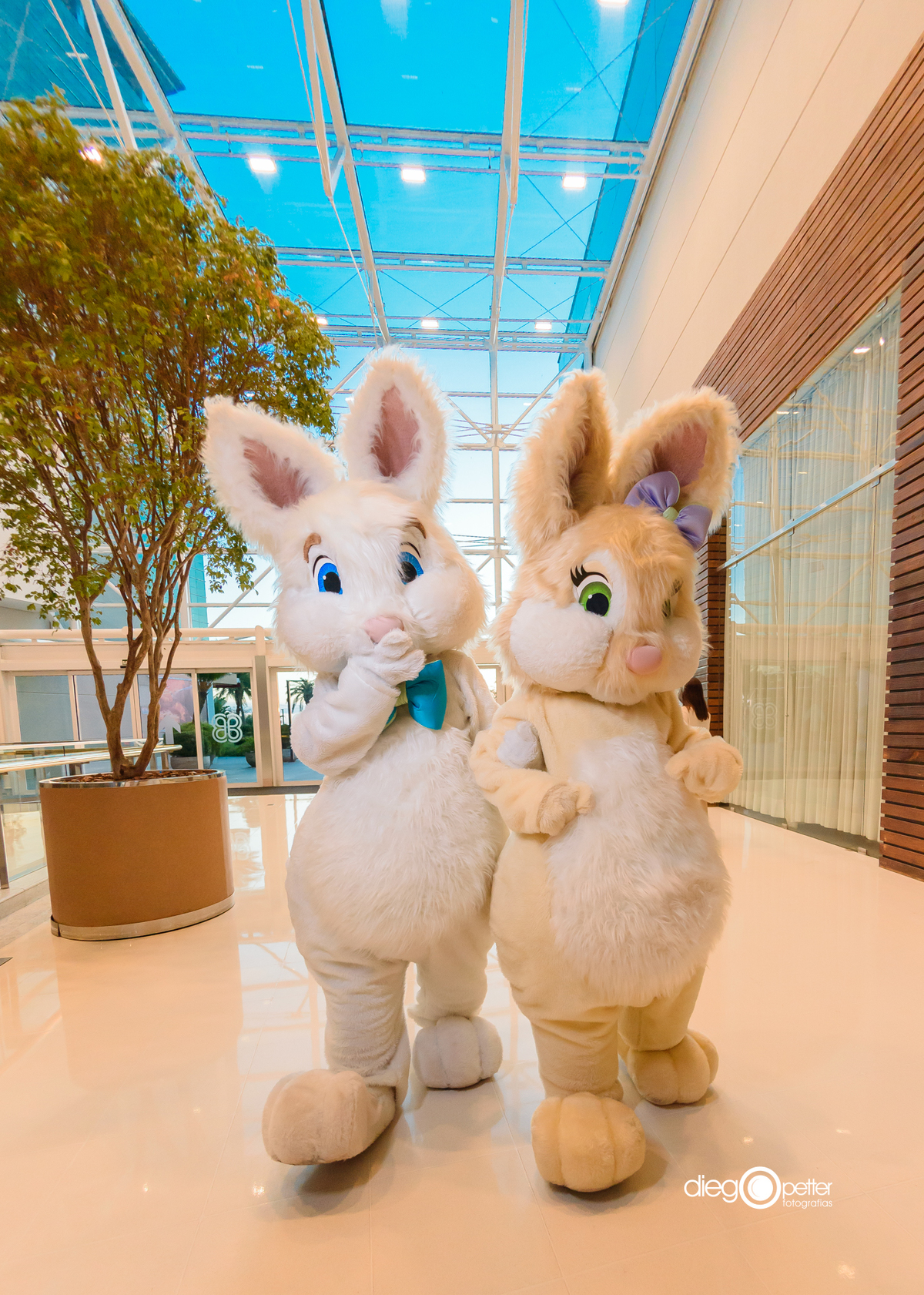coelhos de páscoa entrando no shopping