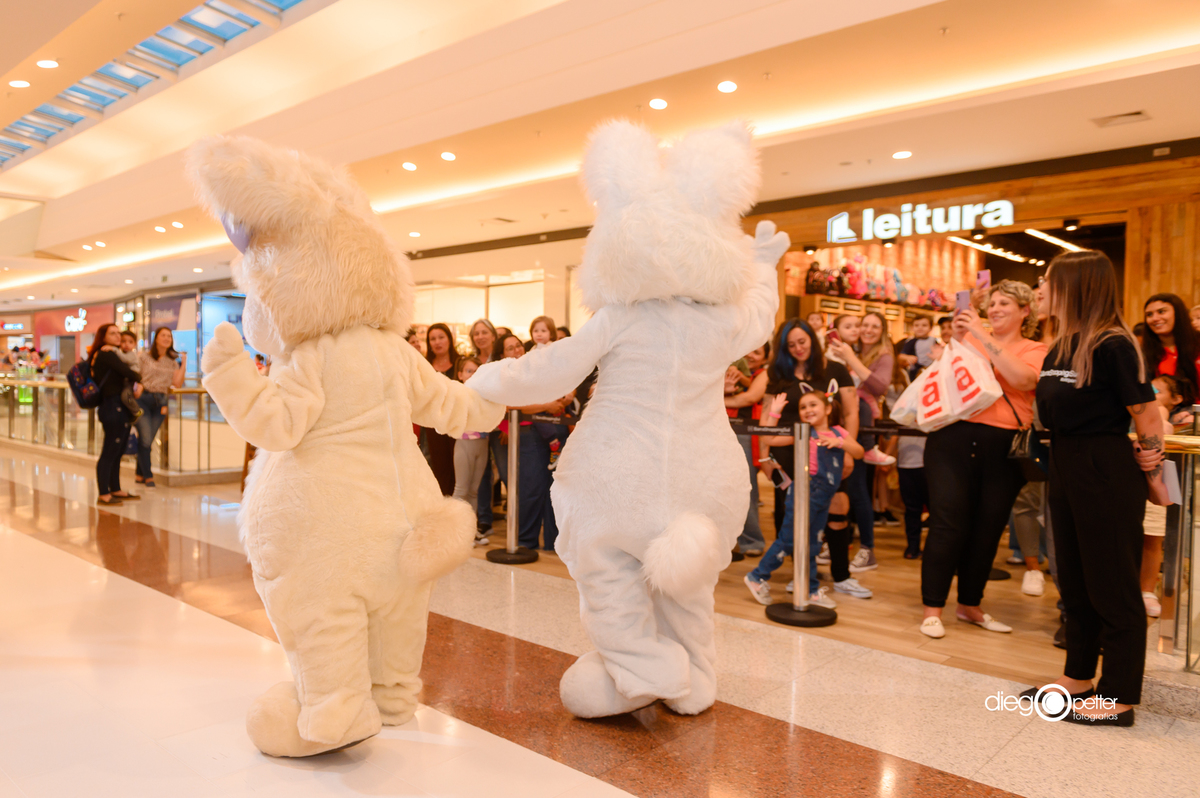 coelhos de páscoa no meet and greet
