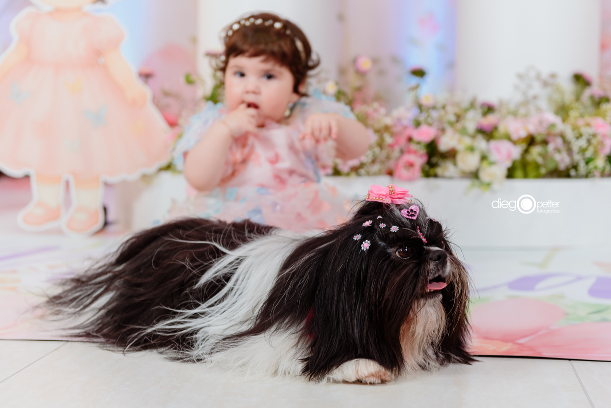 cachorrinha da família no aniversário