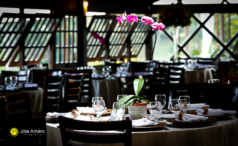 Casamento na Casa da Árvore