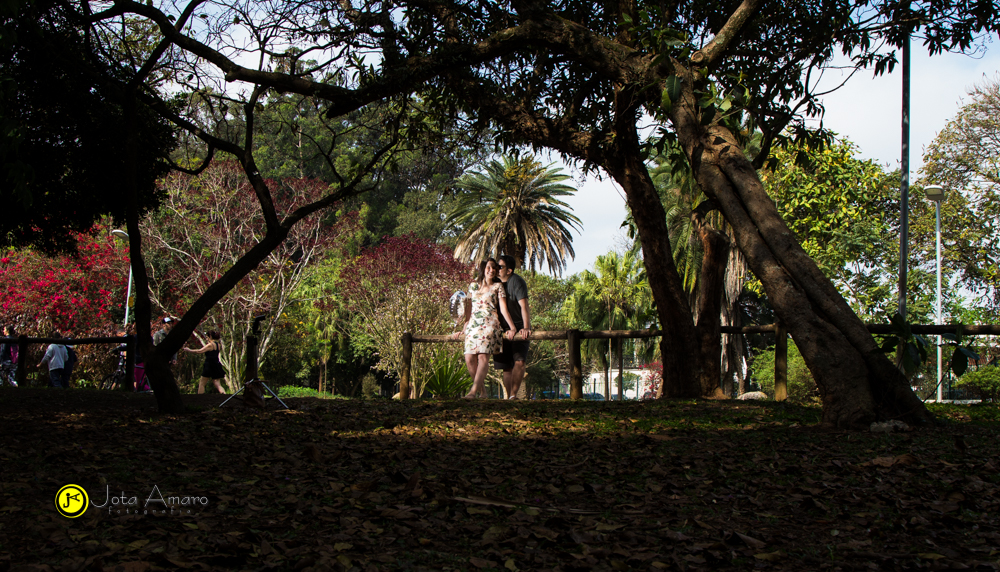 Parque do Ibirapuera/São Paulo-SP