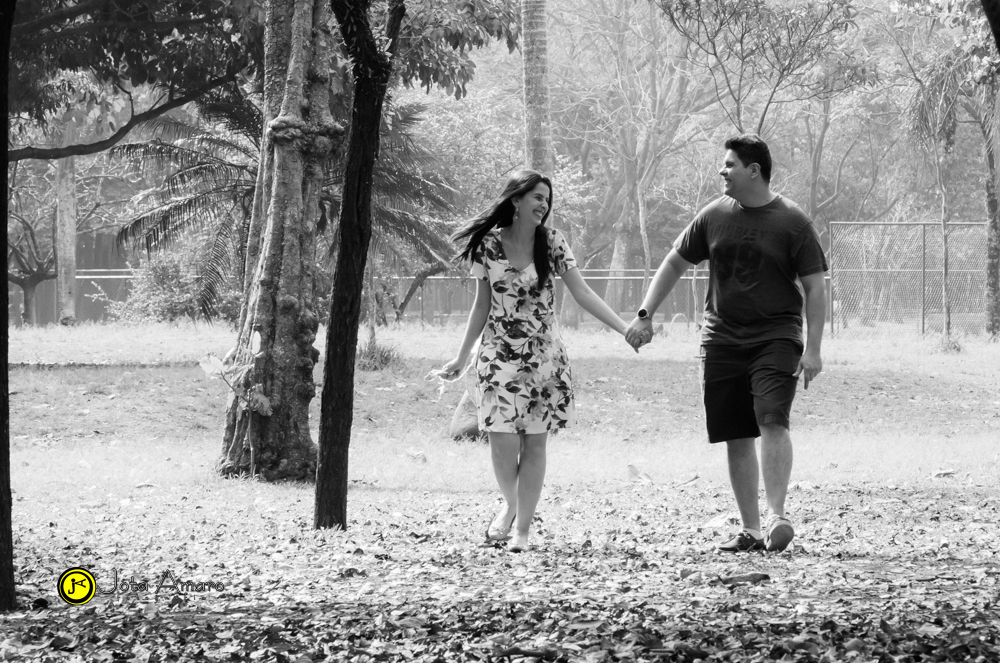 Parque do Ibirapuera/São Paulo-SP