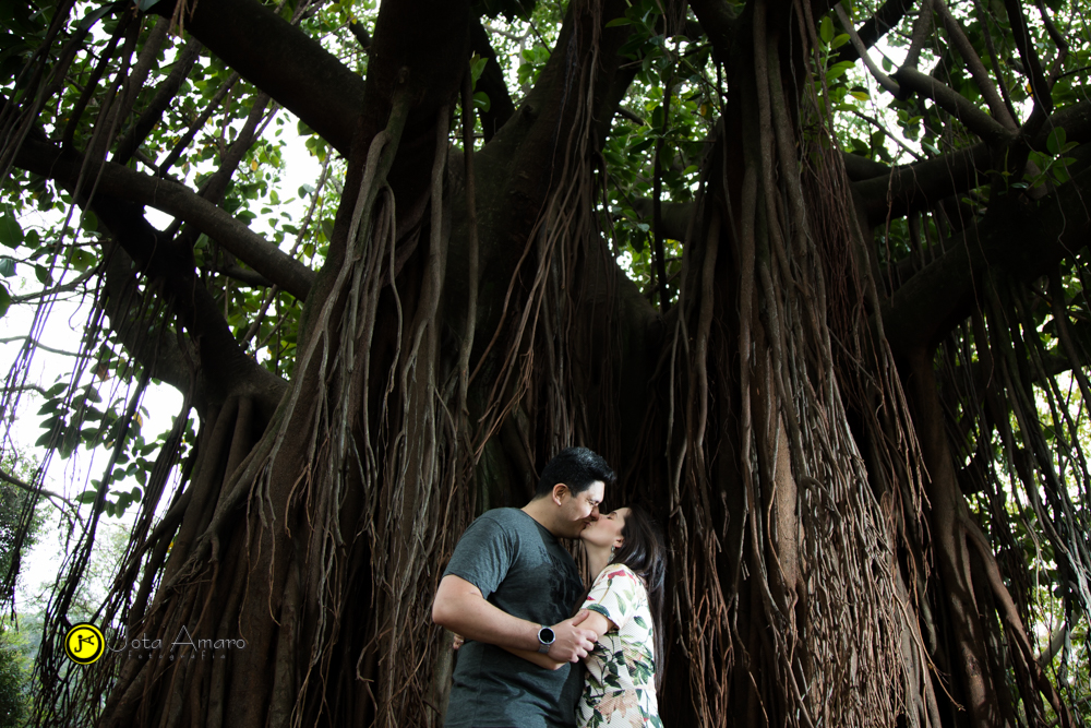 Parque do Ibirapuera/São Paulo-SP