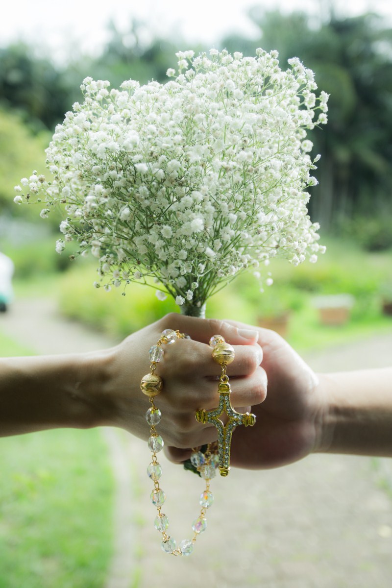 Parque Estadual Alberto Löfgren, conhecido como Horto Florestal,Parque Estadual Alberto Löfgren, conhecido como Horto Florestal,